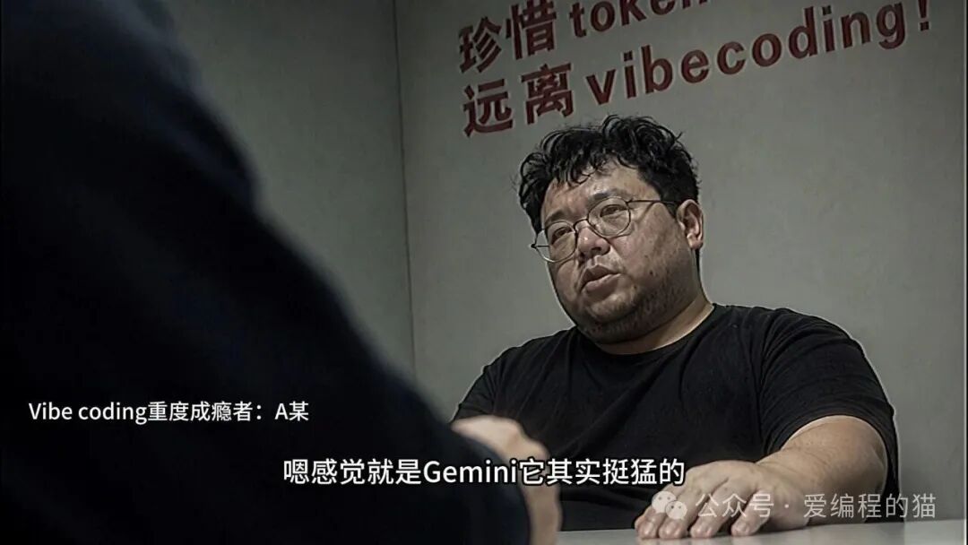 珍惜token远离vibecoding标语