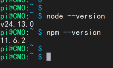Node.js与npm版本验证
