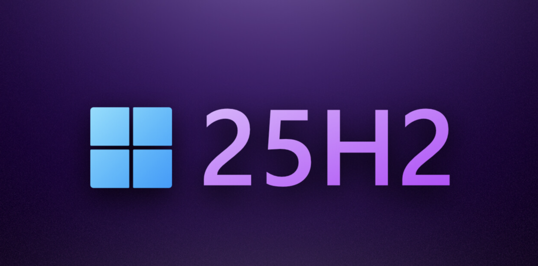 Windows 11 25H2 版本标识