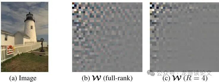 图1：FUTON权重张量可视化