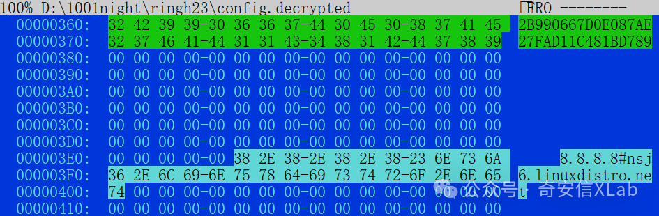 蓝色背景的十六进制数据转储界面，显示文件路径 D:＼＼100lnight＼＼ringh23＼＼config.decrypted 的内容