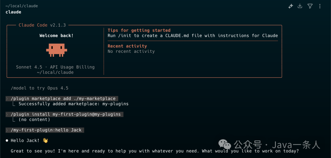 Claude Code 终端界面，显示 plugin marketplace add 与 plugin install 成功日志