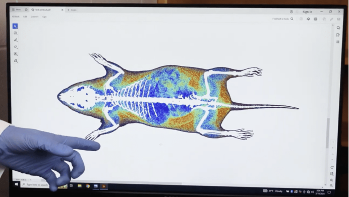 对一只冬眠地松鼠进行医学影像扫描的屏幕截图