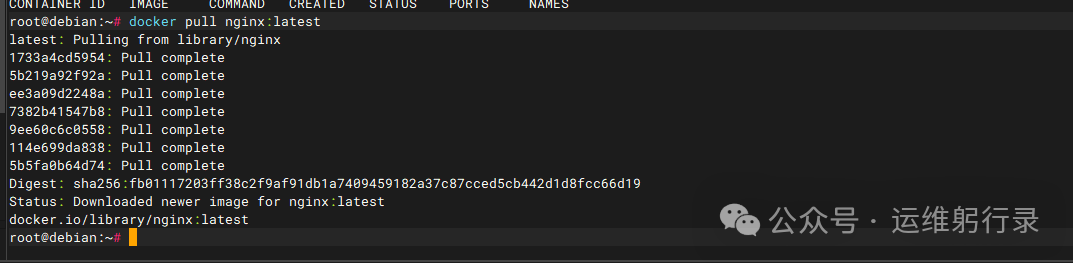 image-20251215215704046