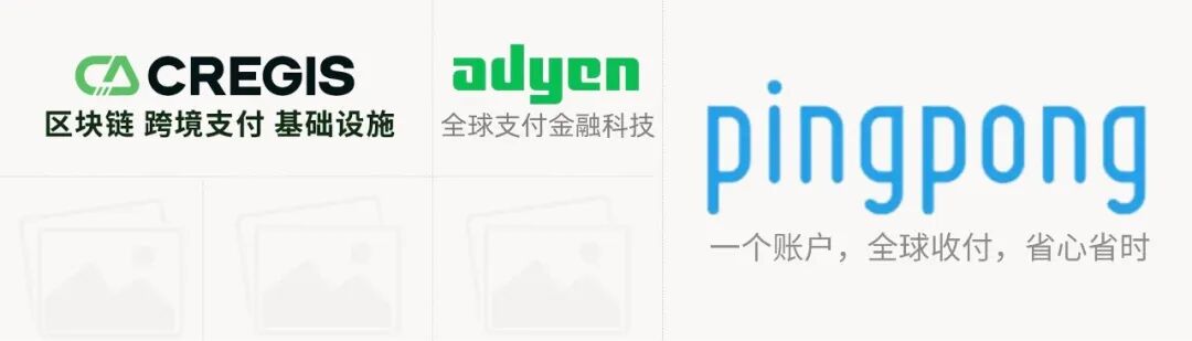 非洲支付基础设施与金融科技公司代表