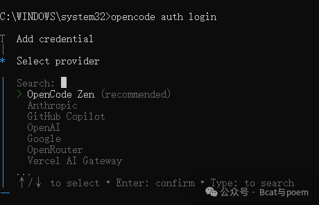 OpenCode登录提供者选择界面