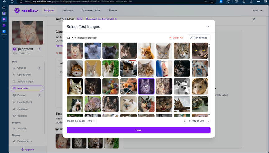 Roboflow选择测试图片界面