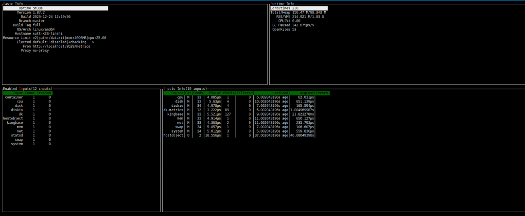 DataKit监控采集器运行状态终端截图