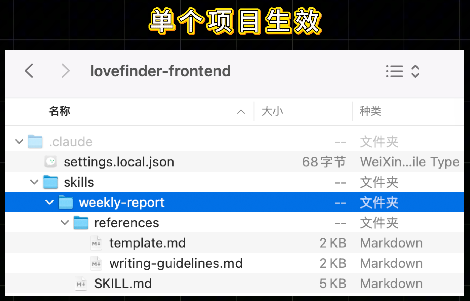 项目级技能目录