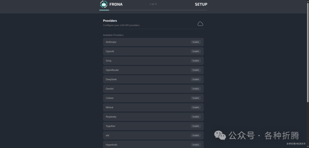 Frona提供商配置界面,列出多个API选项