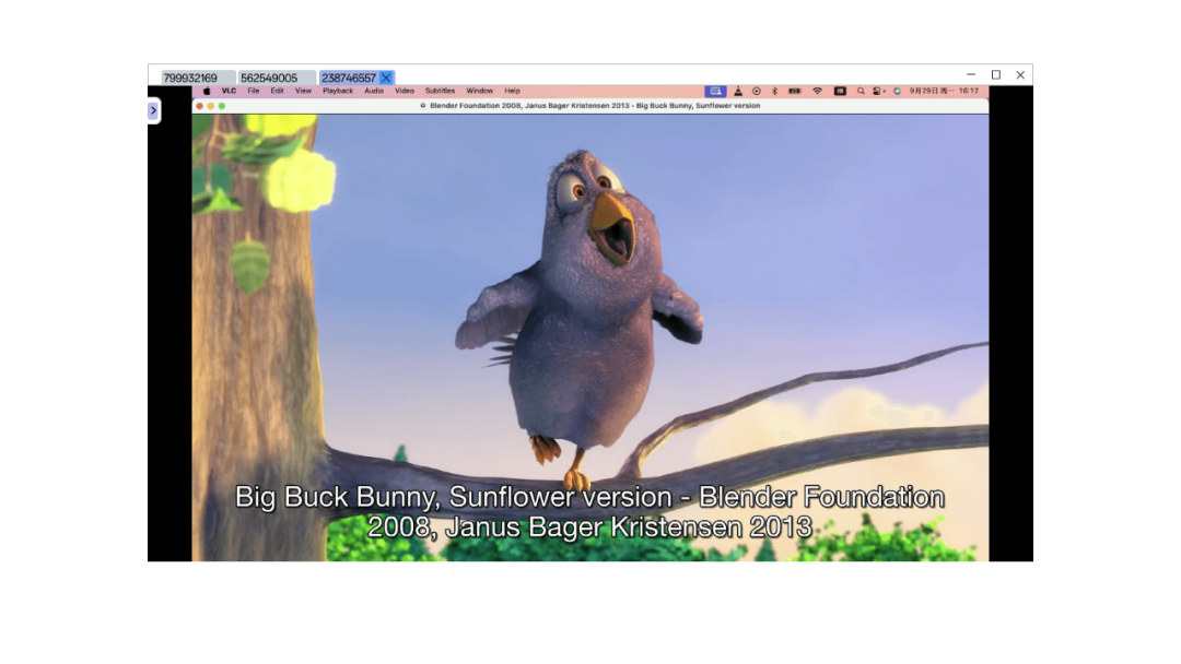 Crossdesk Remote Desktop (1)