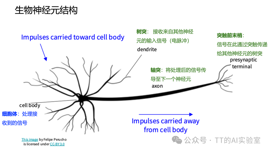 神经网络入门：隐藏层、ReLU与反向传播计算图 - 图片 - 17