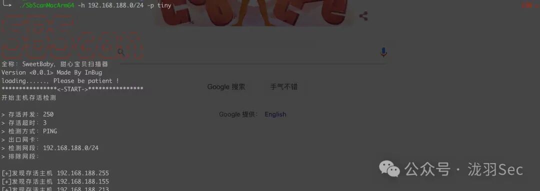 指定精简端口集进行扫描