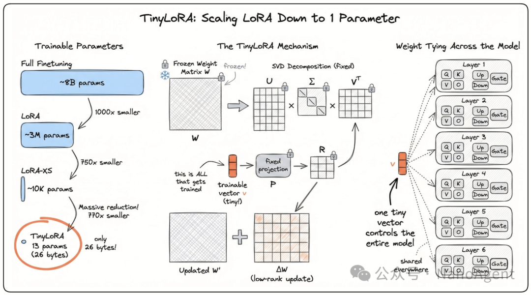 TinyLoRA机制详解图：展示了从全微调到TinyLoRA的参数压缩历程，以及TinyLoRA通过一个微型向量控制整个模型权重的核心机制