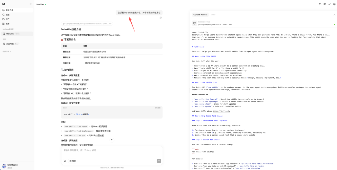 询问技能功能并得到详细解释