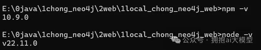 本地Node.js与npm版本验证截图