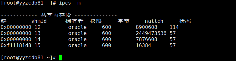 ipcs命令查看共享内存段