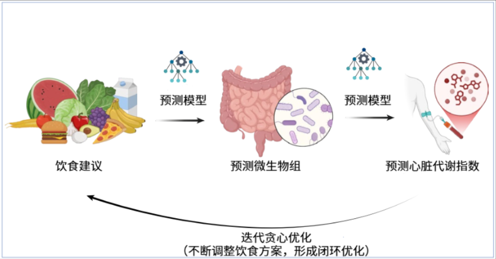 个性化饮食模拟与优化流程图