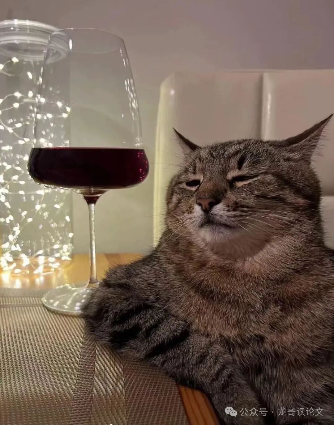 慵懒的猫咪坐在酒杯旁