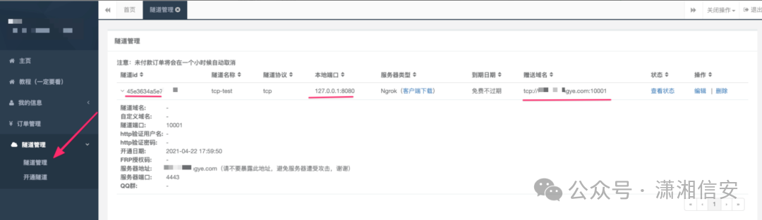 隧道管理界面详情