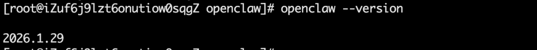 成功执行openclaw --version命令