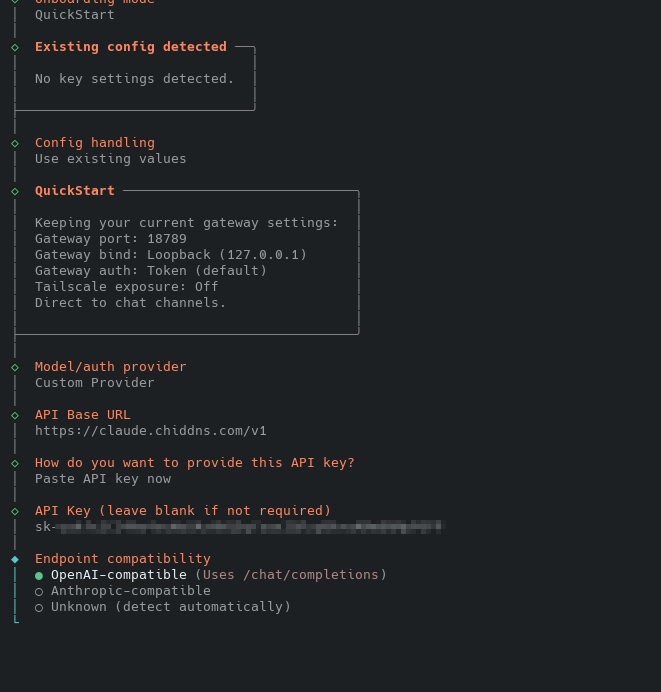 在配置向导中输入API密钥