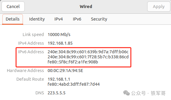 系统详情中显示获取到的多个IPv6地址
