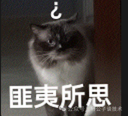 头顶问号的困惑猫表情包，配文“匪夷所思”