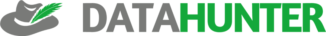 DATAHUNTER技术品牌标识