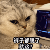 “裤子都脱了 就这?”猫咪表情图