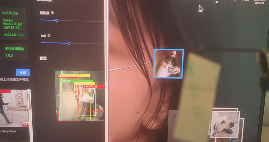 宠物表情识别模型运行界面2