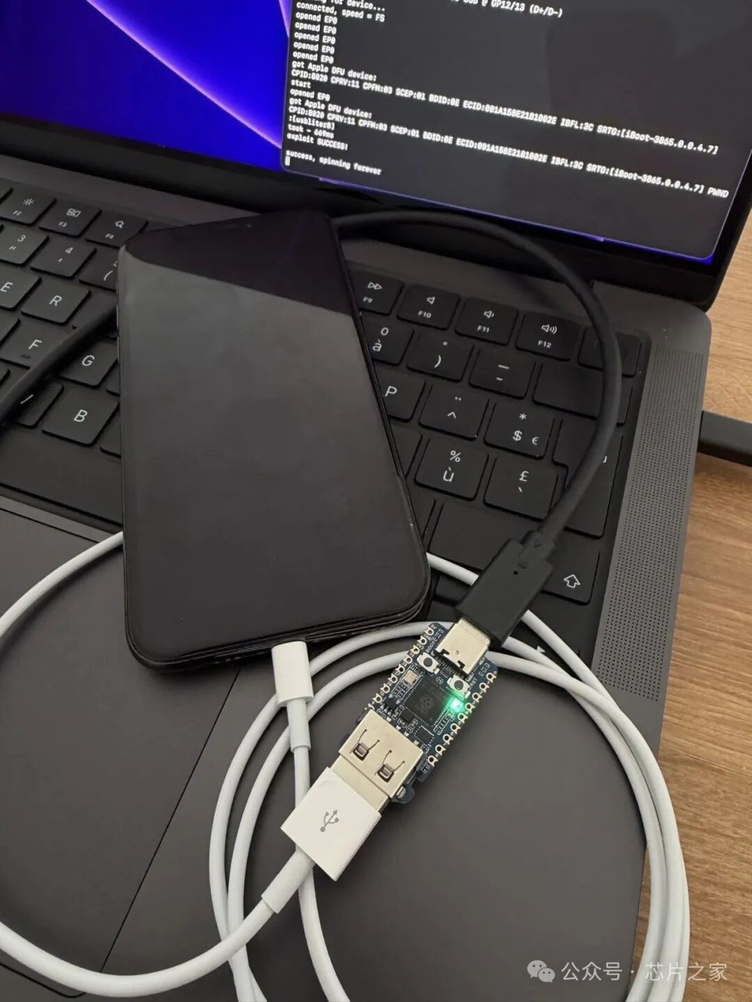 USBLiter8漏洞利用终端调试输出
