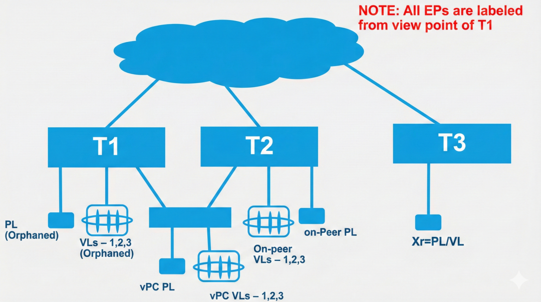 ACI Fabric中EP分类与VPC关系拓扑示意图