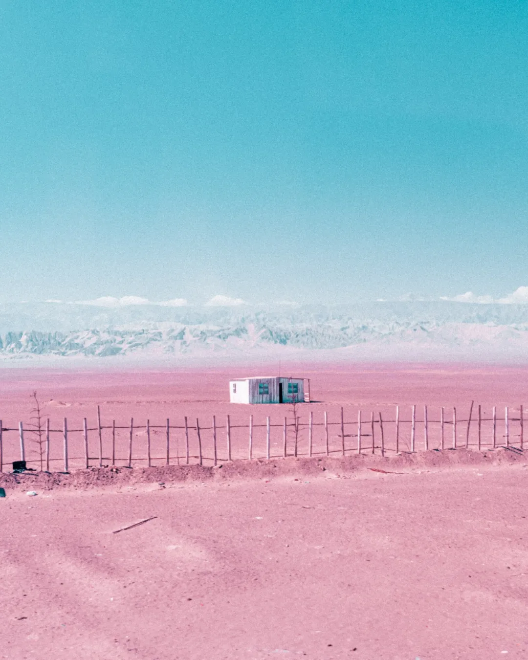 粉红色荒漠中的孤寂小屋与汽车