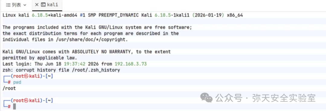 Kali Linux 终端系统信息及 pwd 命令输出