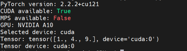 PyTorch GPU 环境验证:CUDA 可用性检测输出