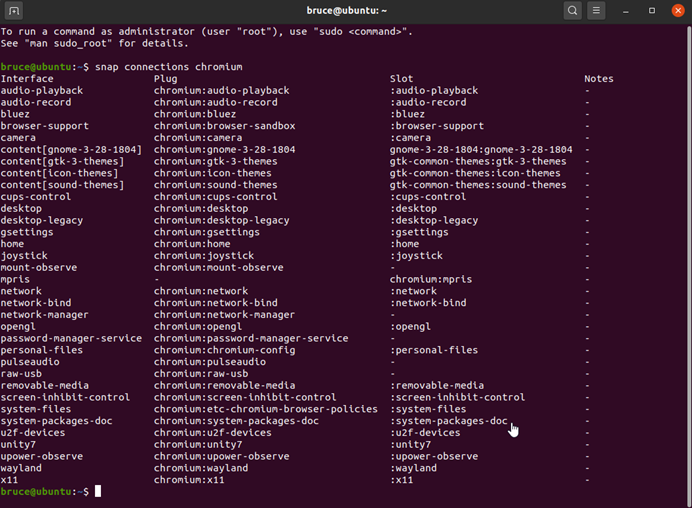 snap connections chromium命令输出