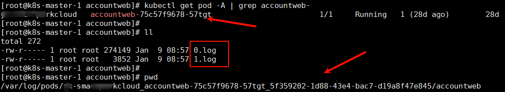 终端查看Pod日志文件