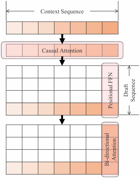 图3：单向和双向注意力示意图