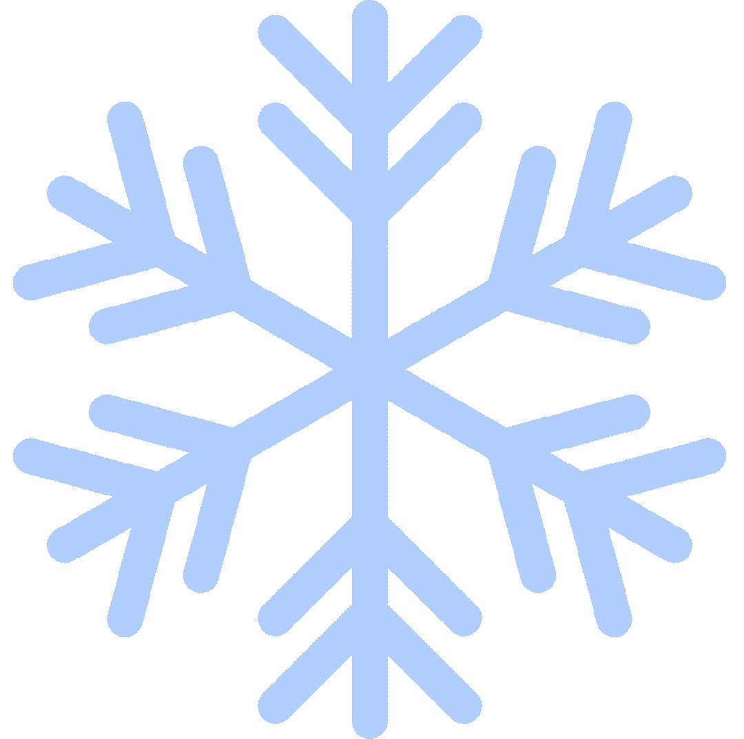 一枚浅蓝色的六角形雪花图案，象征着密码分析中的结构发现