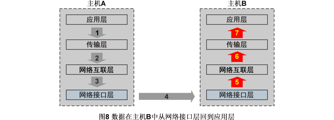 数据在主机B中从网络接口层回到应用层示意图