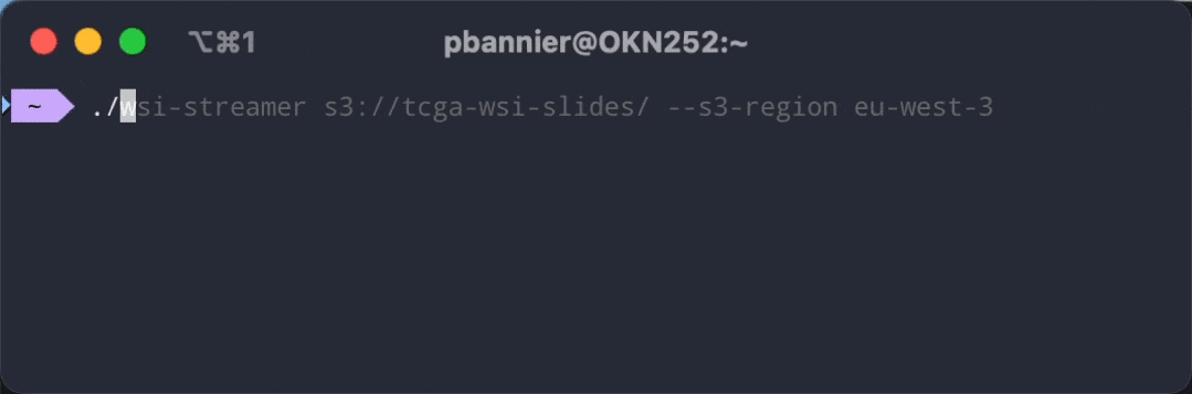 wsi-streamer S3模式启动与配置信息