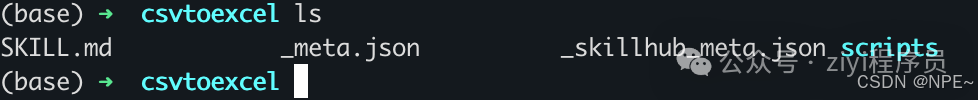 终端中查看 csvtoexcel 目录文件列表，包含 SKILL.md、_meta.json 等