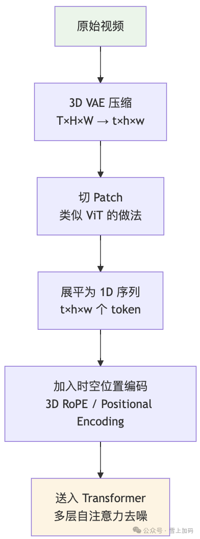 视频Token化与处理流程图