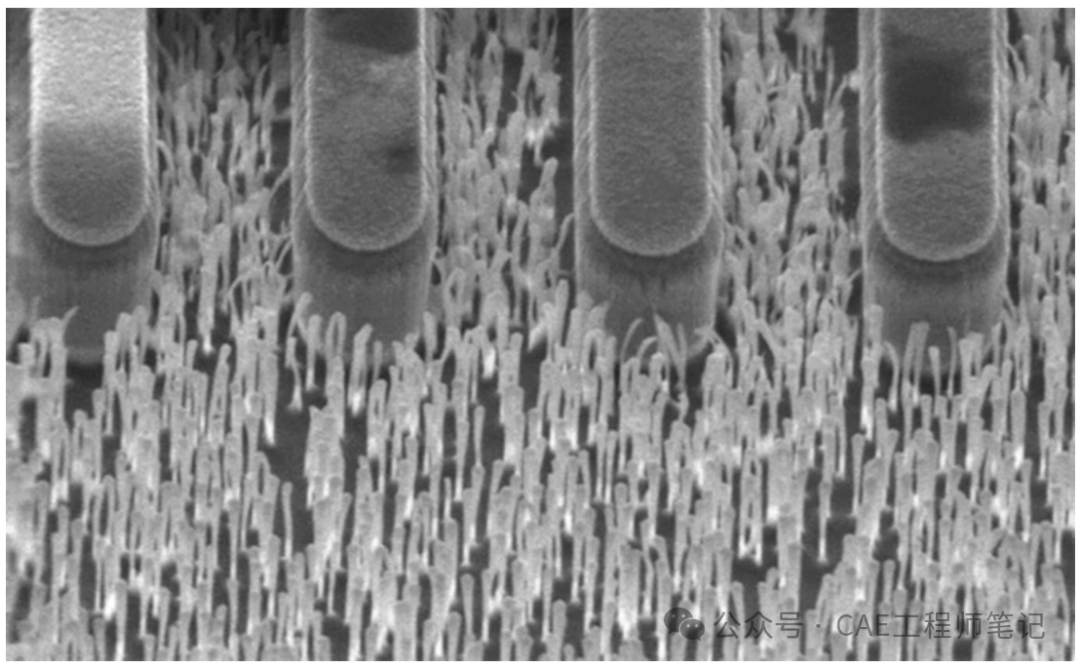 金属掩膜微掩膜导致的SiC表面柱状粗糙度SEM图