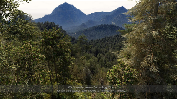 《巫师4》技术演示森林场景