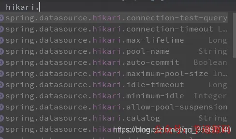 HikariCP 配置项截图:列出 `connection-test-query`、`connection-timeout`、`max-lifetime` 等参数