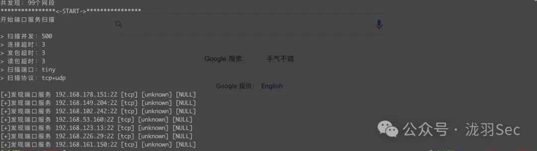 端口扫描结果示例