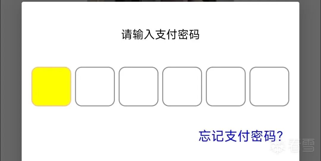 支付密码输入界面