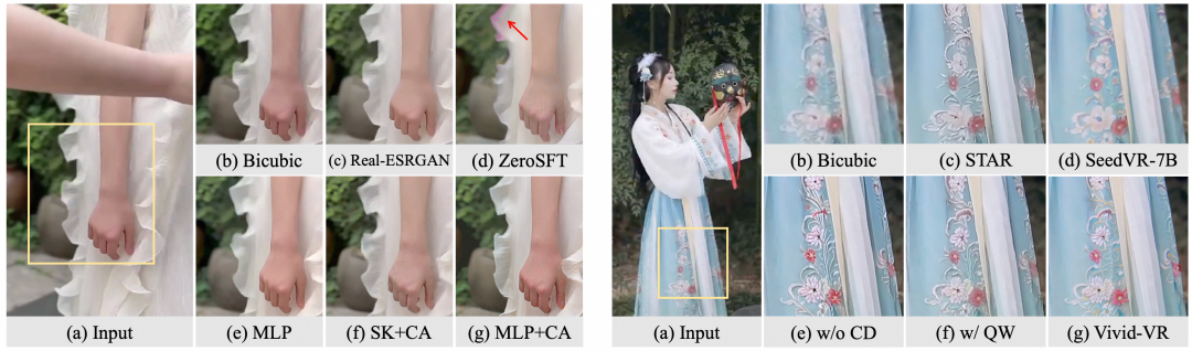 消融实验定性评估结果